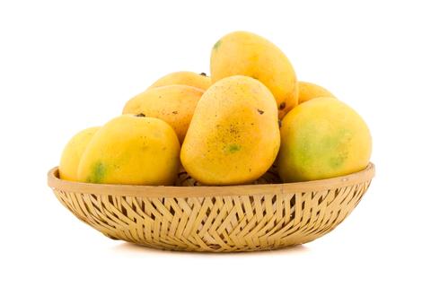 Badami Mango 1.5 Kg (Box)