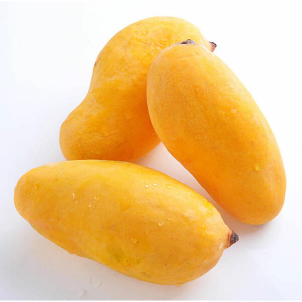 Sindhri Sweet Mango (3-4pcs) 1.2-1.3kg