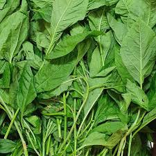 BITTERBLAD (BITAWIRI)