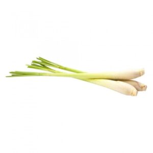 Lemongrass Sereh Verse Citroengras