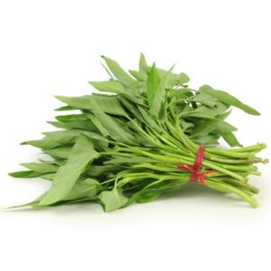 Kangkung Dagoeblad Verse Water Spinazie