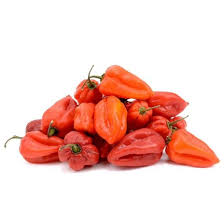 Rode Habanero Peper