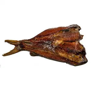 KOPILA