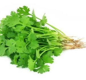 Coriander Leaves (Bunch)
