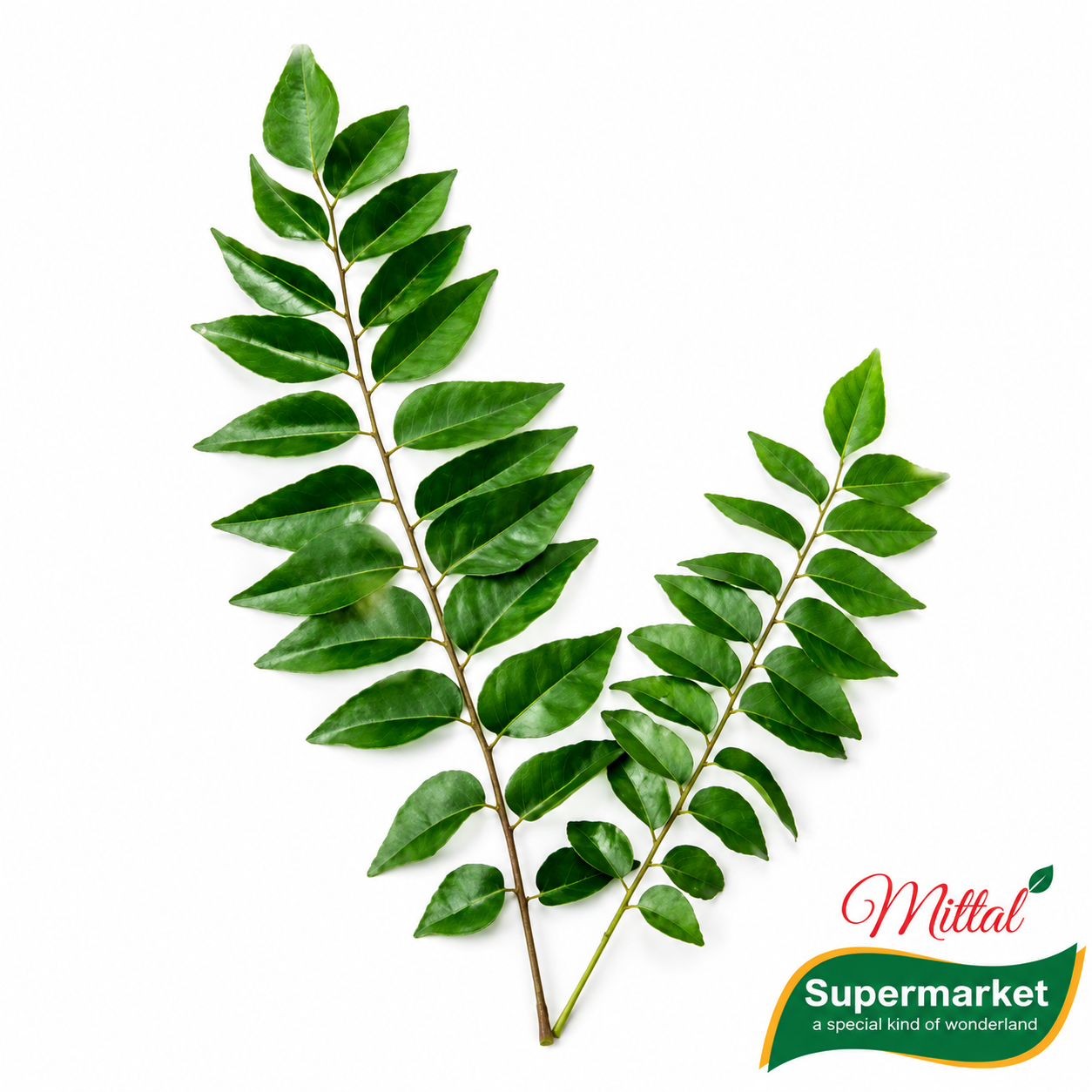Verse Kerrieblaadjes (Curry Leaves) per Pak, Kadipatta