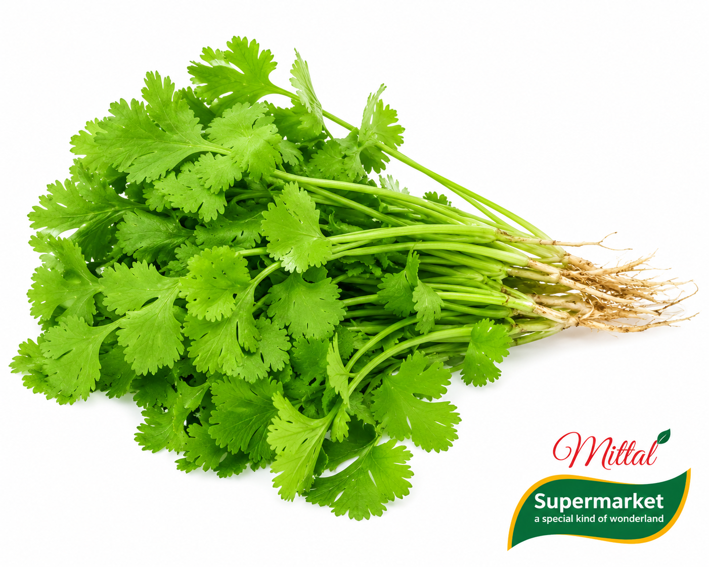 Verse Koriander (Cilantro) per Bosje, Aromatische Dhania