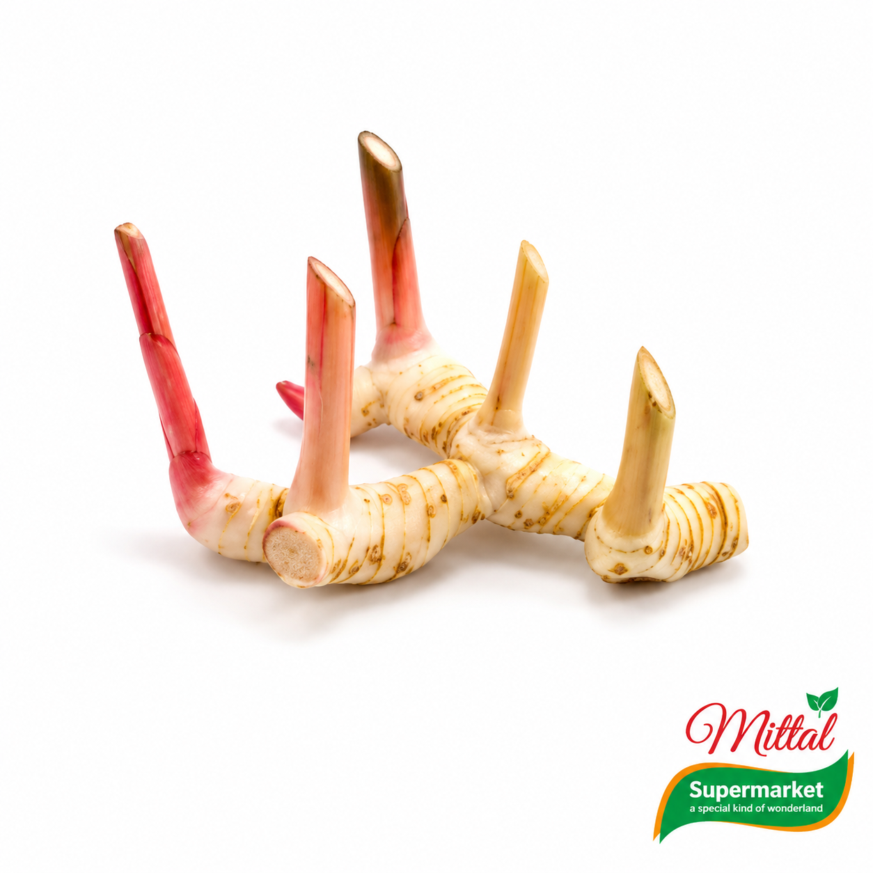 Verse Laos (Galangal) per Stuk, Aromatische Thaise Gember