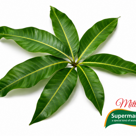 Verse Kerrieblaadjes (Curry Leaves) per Pak, Kadipatta