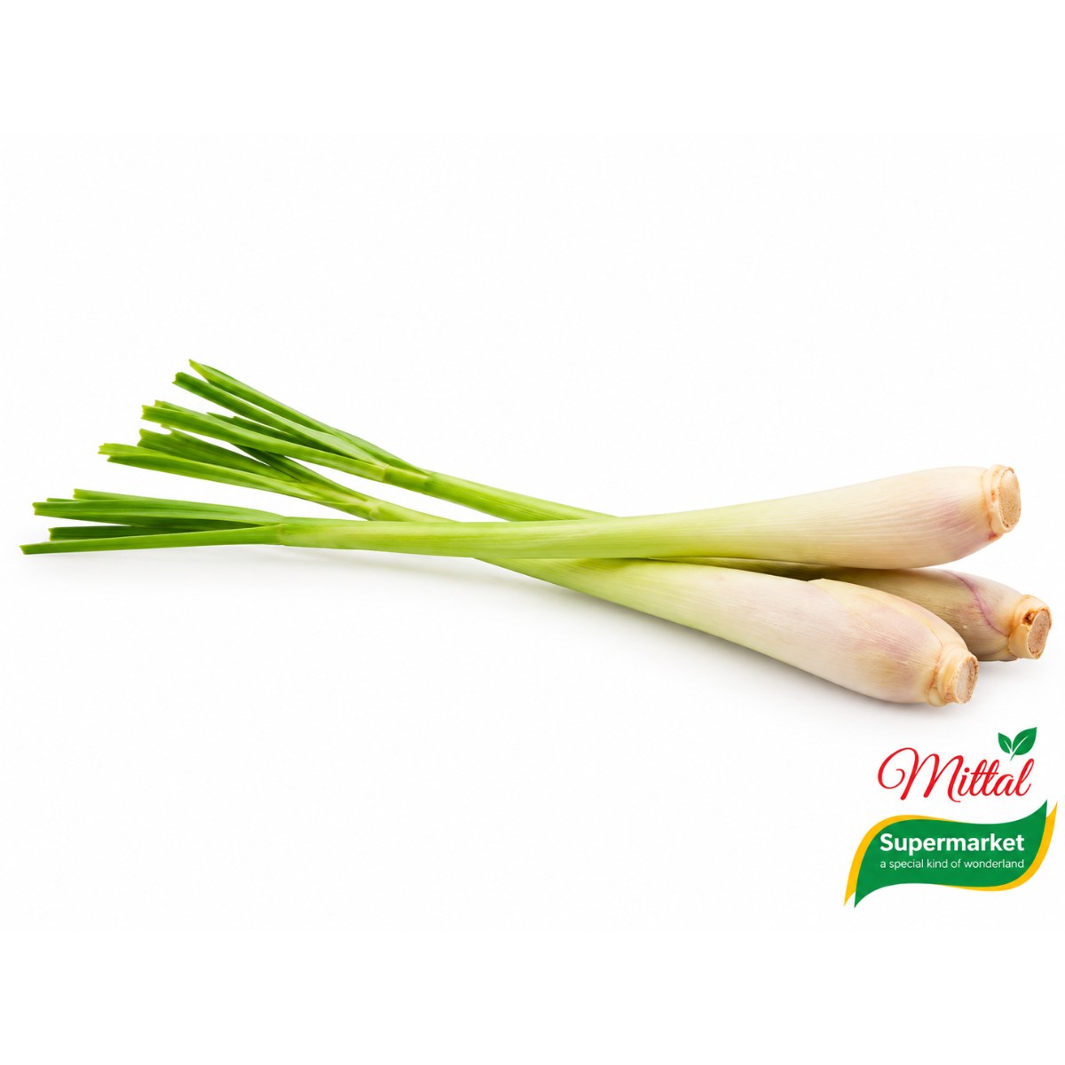 Sereh Verse Citroengras, Verse Stengels voor Soep en Curry (Lemongrass)